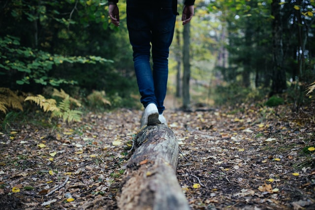 person-walking-on-a-log-on-a-hiking-trail.png
