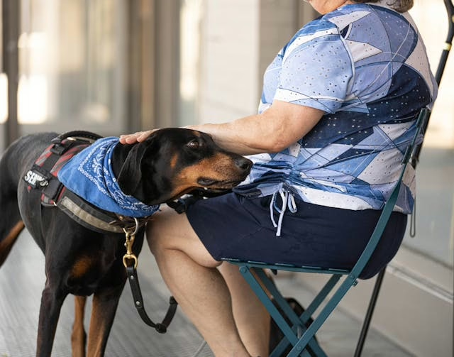 service-dog.png